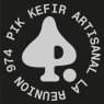 PIK_LOGO_PROFIL