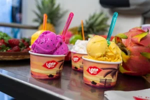 490978646_1231818795610981_1247514569452150962_n-1